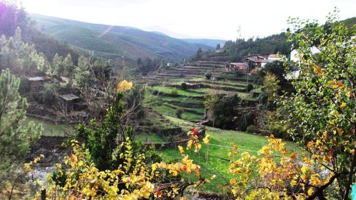 Villa Refúgio da Estrela Aguincho Exterior foto